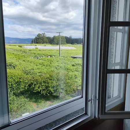 Apartmán A Grenla Entre Vinedos Cambados